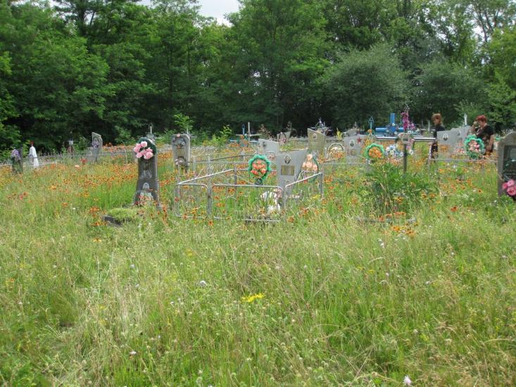 Саранчине з panoramio.com - Саранчине