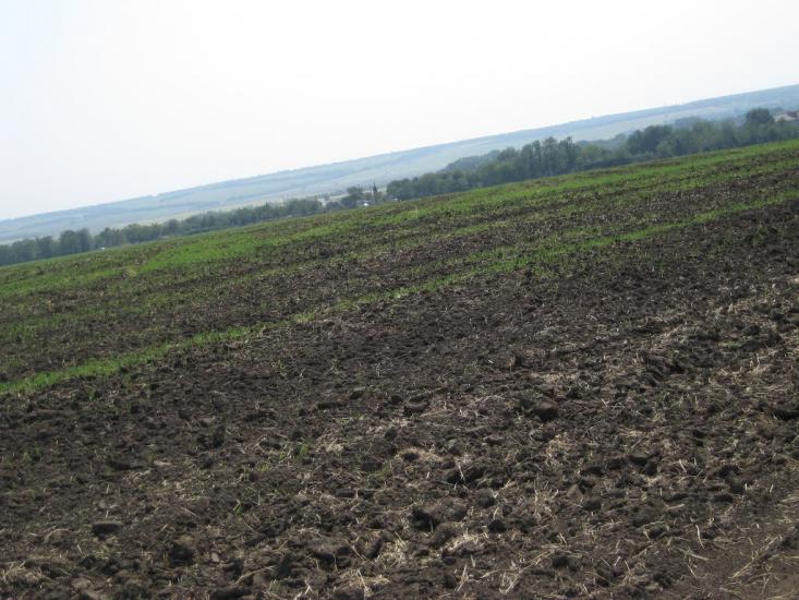 Гірницьке з panoramio.com - Горницкое