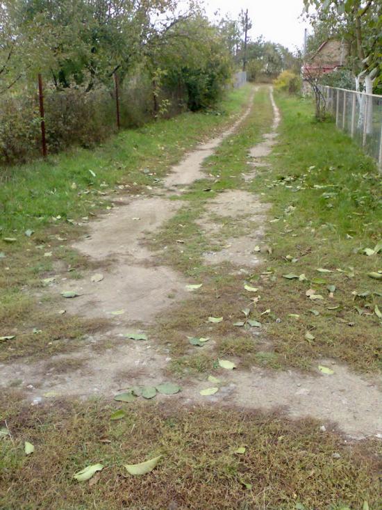 Дмитрівка з panoramio.com - Дмитровка