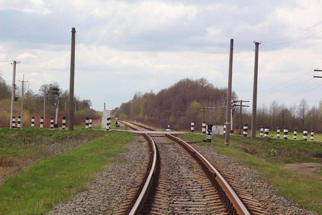 Курне з panoramio.com - Курне