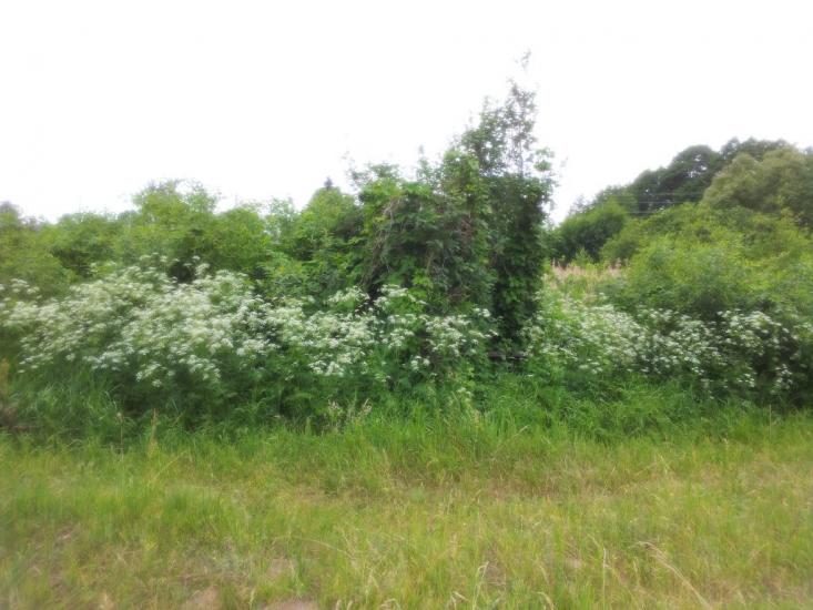 Кримок з panoramio.com - Крымок