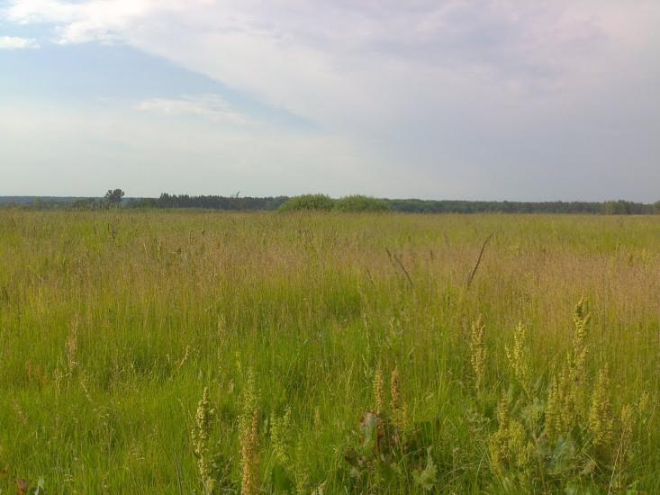 Мала Перещепина з panoramio.com - Малая Перещепина