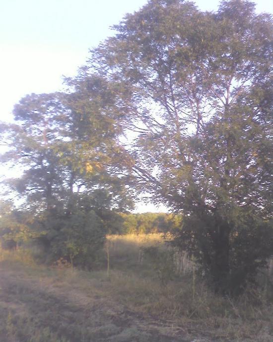 Вугляр з panoramio.com - Вугляр