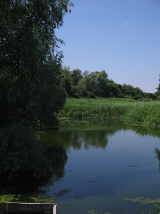 Шестакове з panoramio.com - Шестакове