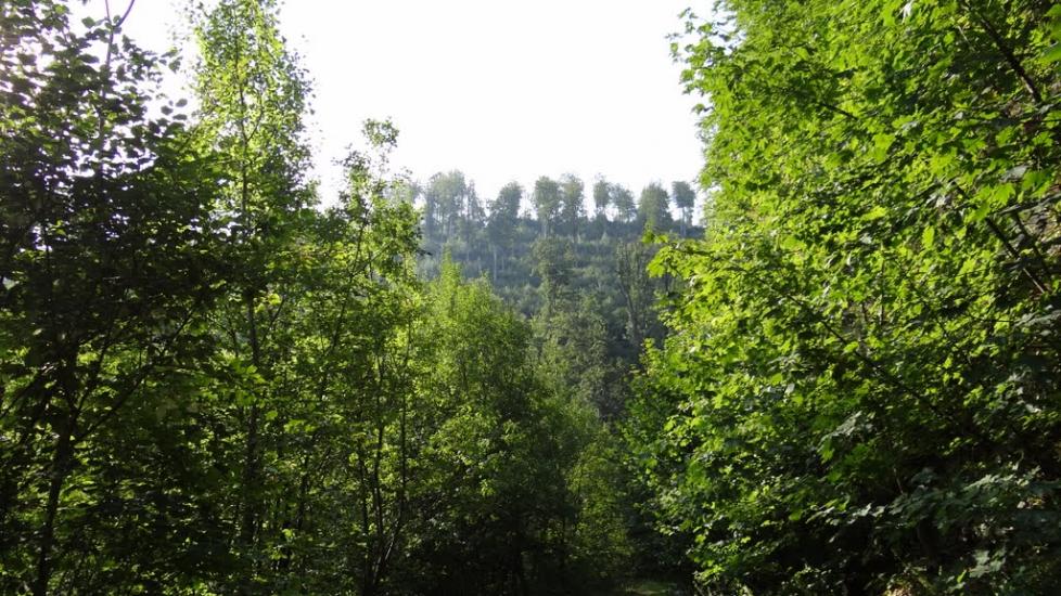Хмелів з panoramio.com - Khmeliv