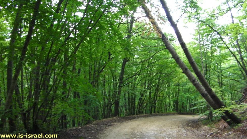 Багата Ущелина з panoramio.com - Bagata Uschelyna
