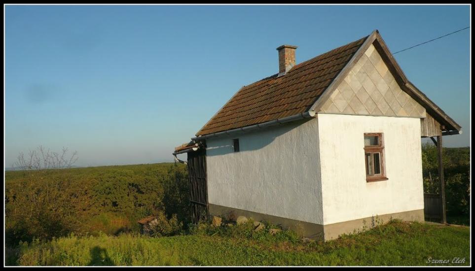Астей з panoramio.com - Астей
