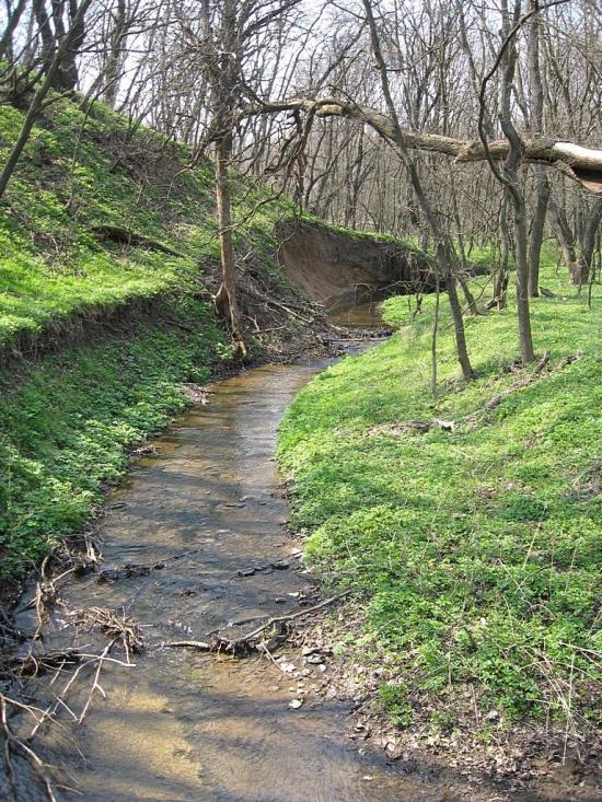 Мала Мартинівка з panoramio.com - Мала Мартинівка