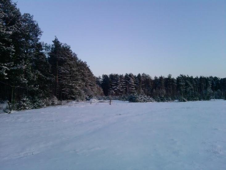 Холоневичі з panoramio.com - Холоневичи