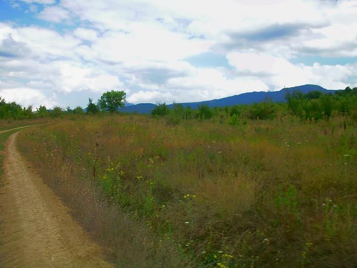 Щасливе з panoramio.com - Schaslyve