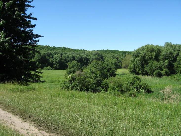 Северинівка з panoramio.com - Северинівка