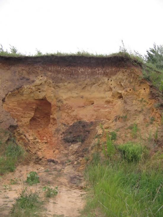 Шестакове з panoramio.com - Шестакове