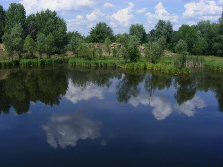 Вікнине з panoramio.com - Окнино