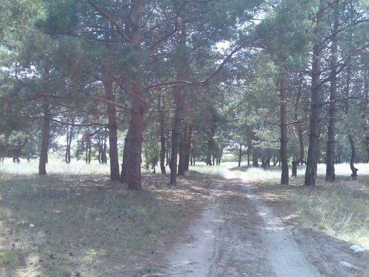 Черкаське з panoramio.com - Черкасское