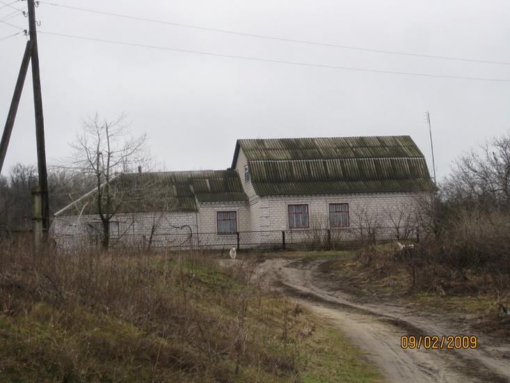 Криве Озеро з panoramio.com - Криве Озеро