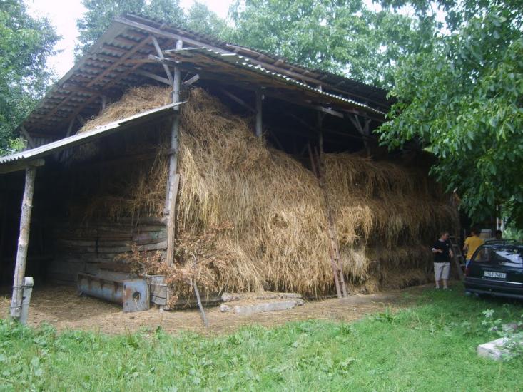 Конищів з panoramio.com - Конищев