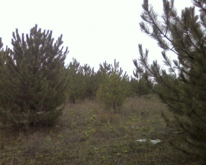 Верхні Торгаї з panoramio.com - Верхні Торгаї