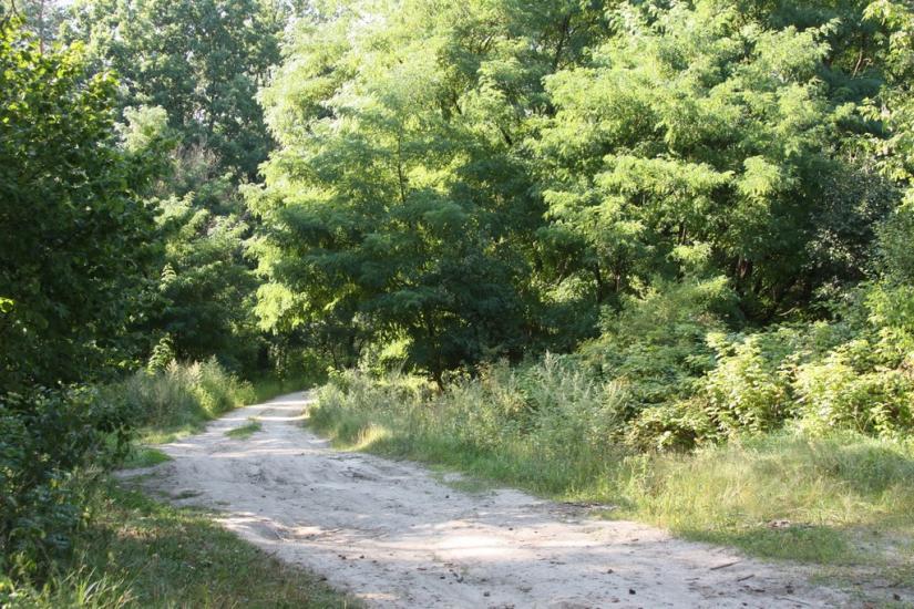 Тарасенки з panoramio.com - Тарасенки