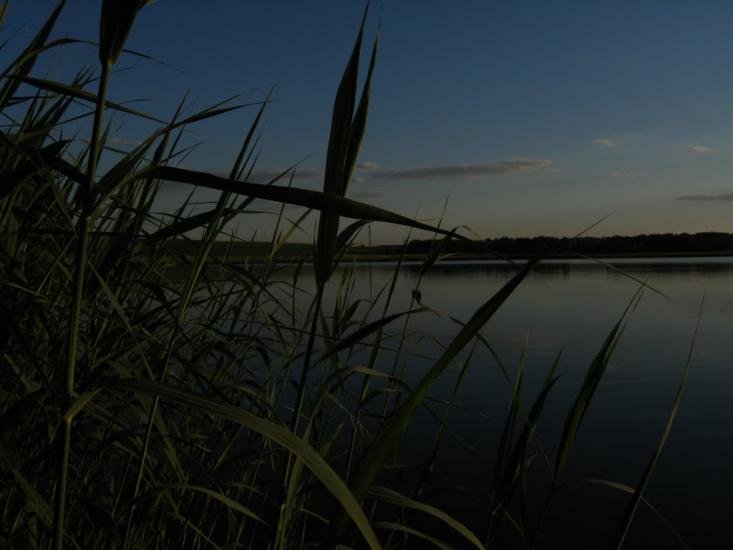 Северинівка з panoramio.com - Северинівка