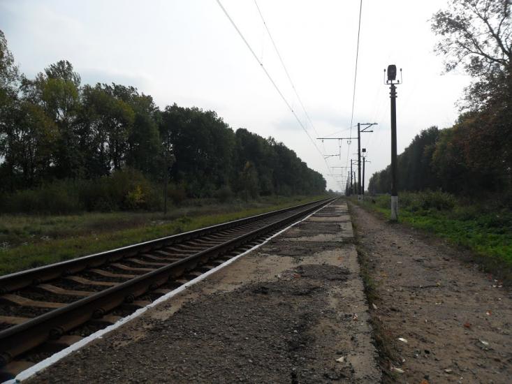 Поріччя Задвірне з panoramio.com - Поріччя Задвірне