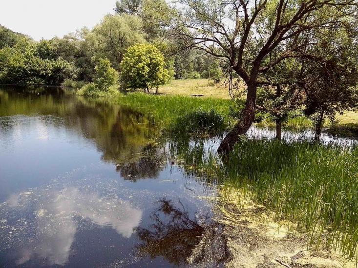 Хорішки з panoramio.com - Khorishky