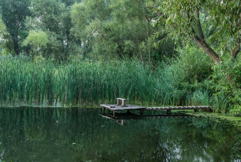 Юрівка з panoramio.com - Юрівка