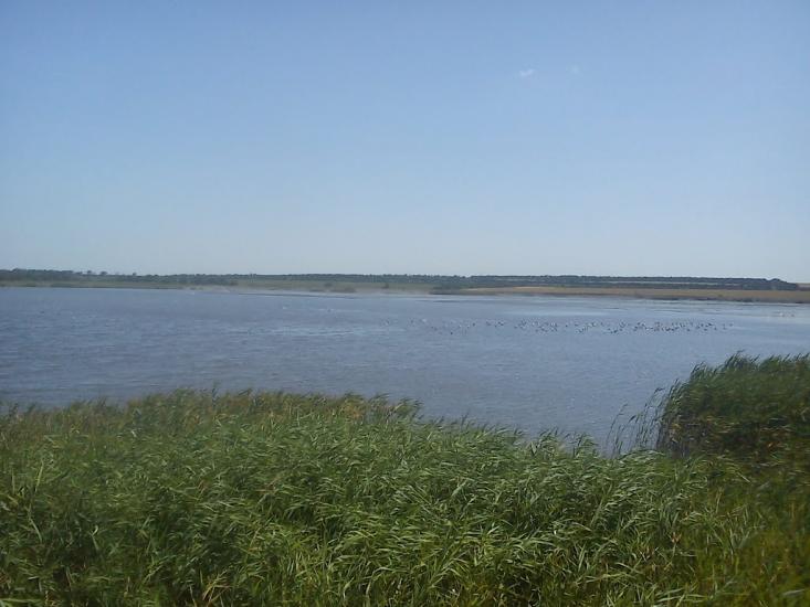 Ювілейне з panoramio.com - Юбилейное
