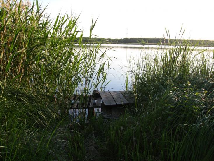 Северинівка з panoramio.com - Северинівка