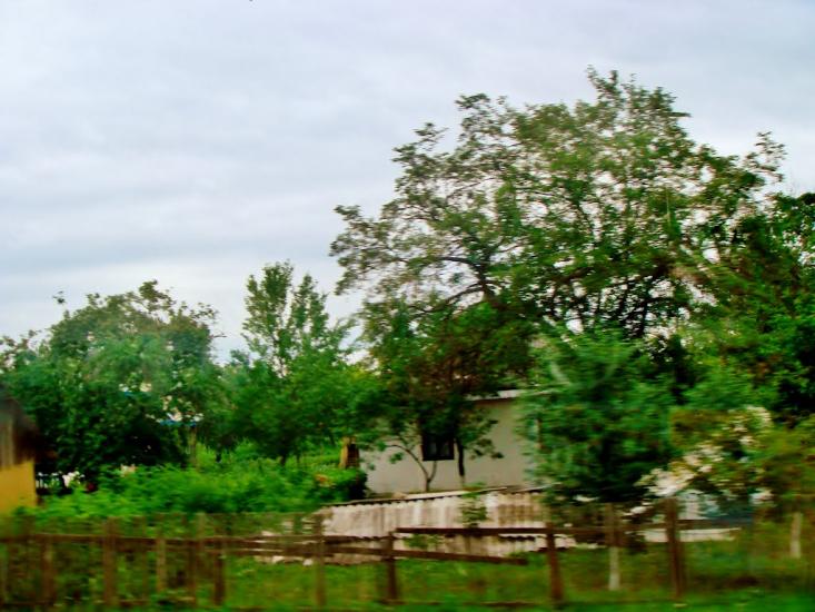 Лисянка з panoramio.com - Лисянка