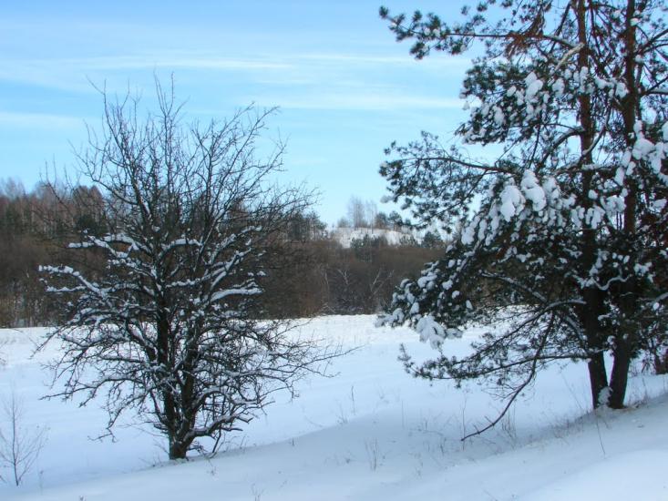 Мохначі з panoramio.com - Мохначі