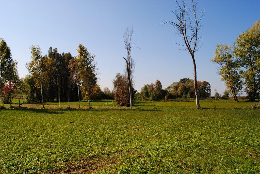 Великий Митник з panoramio.com - Великий Митник