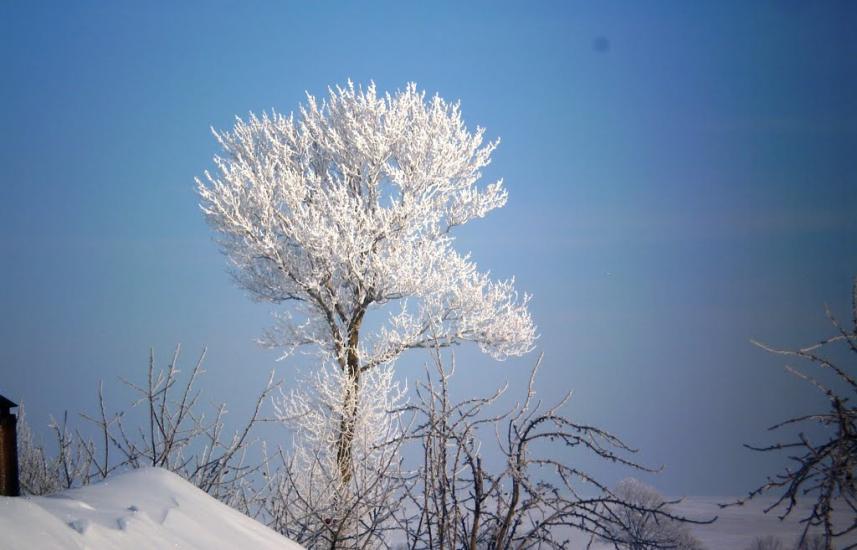 Жовтневе з panoramio.com - Zhovtneve