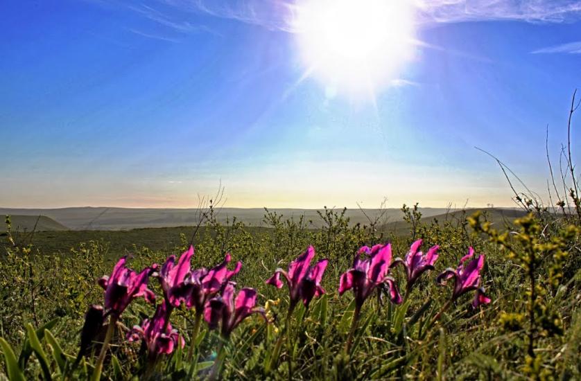 Нижньодеревечка з panoramio.com - Нижньодеревечка