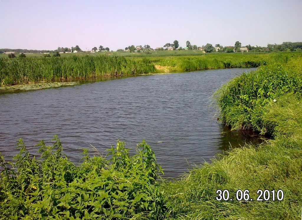 Білогородка з panoramio.com - Білогородка