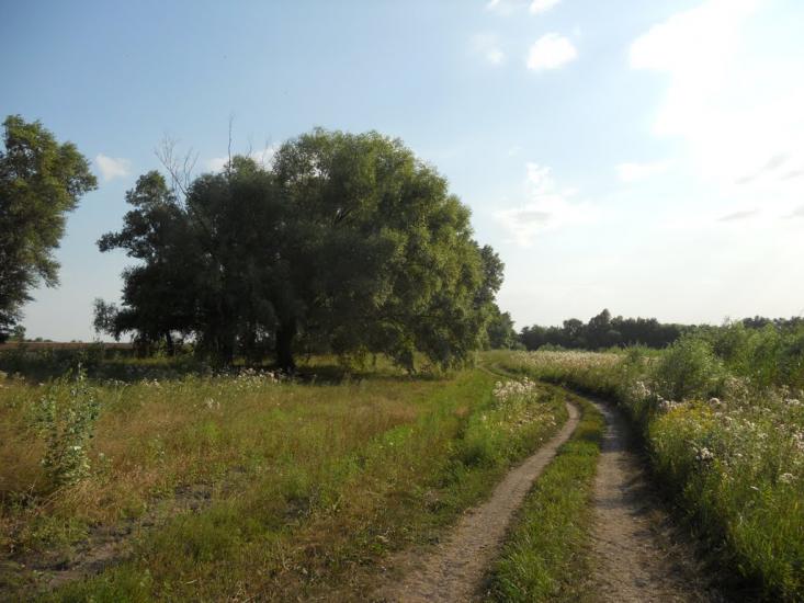 Першотравенка з panoramio.com - Первотравенка