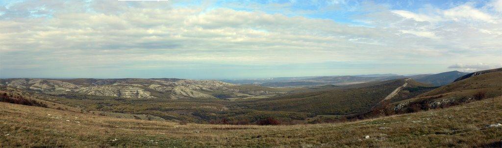 Пчолине з panoramio.com - Пчелиное