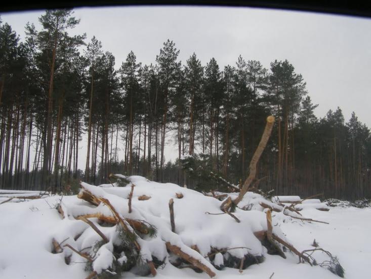 Суслівка з panoramio.com - Суслівка