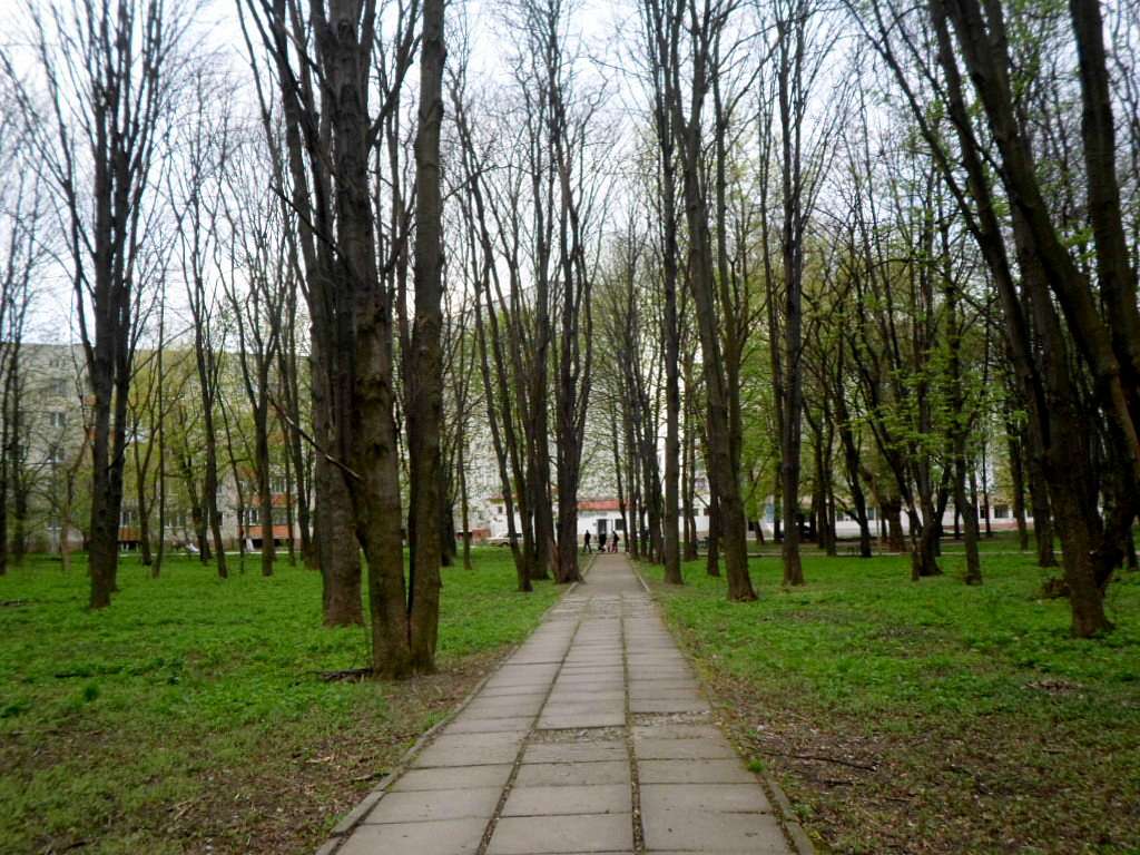 парки - Стрый
