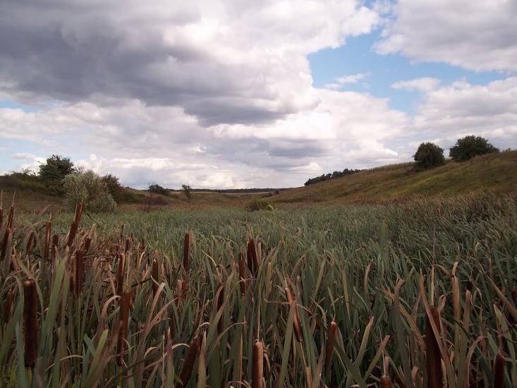 Леніна Друге з panoramio.com - Ленина Второе