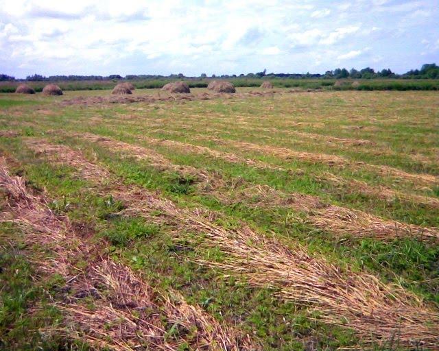 Чайковичі з panoramio.com - Чайковичі