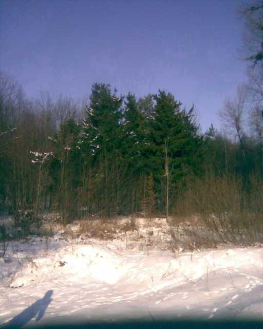 Лісна Поляна з panoramio.com - Лісна Поляна