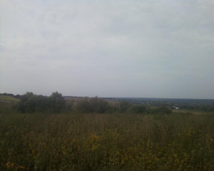 Синява з panoramio.com - Синява