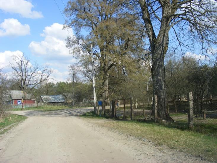 Хрипськ з panoramio.com - Khrypsk