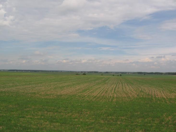 Новоселівка з panoramio.com - Новоселовка