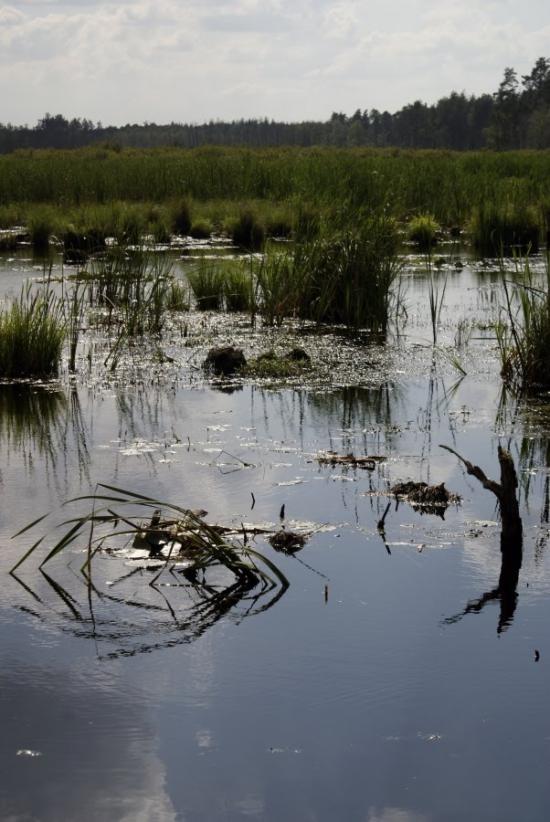 Кошари з panoramio.com - Кошари