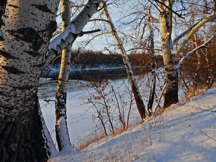Слов'яносербськ з panoramio.com - Славяносербск