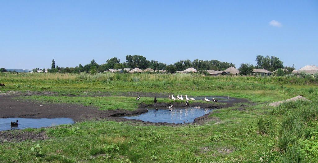 Райгородка з panoramio.com - Райгородка