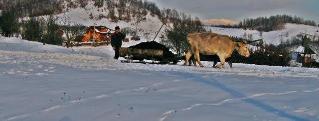 Хмелів з panoramio.com - Khmeliv
