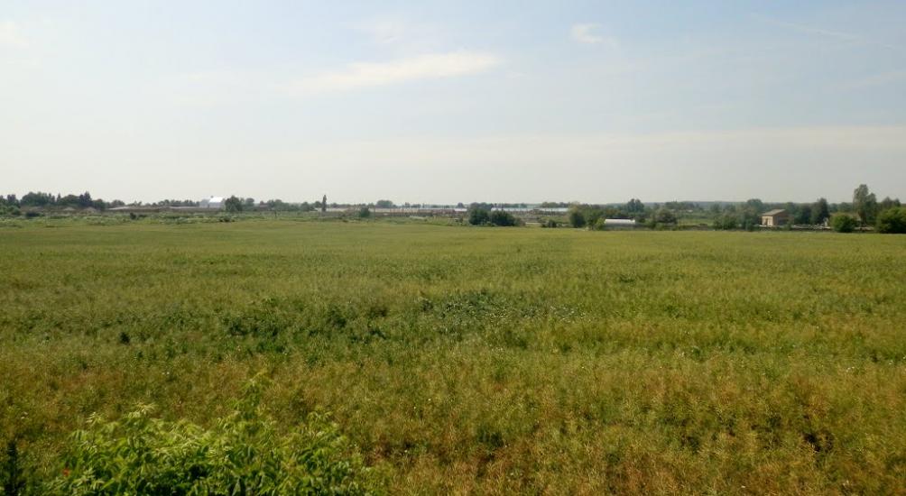 Юрівка з panoramio.com - Юрівка