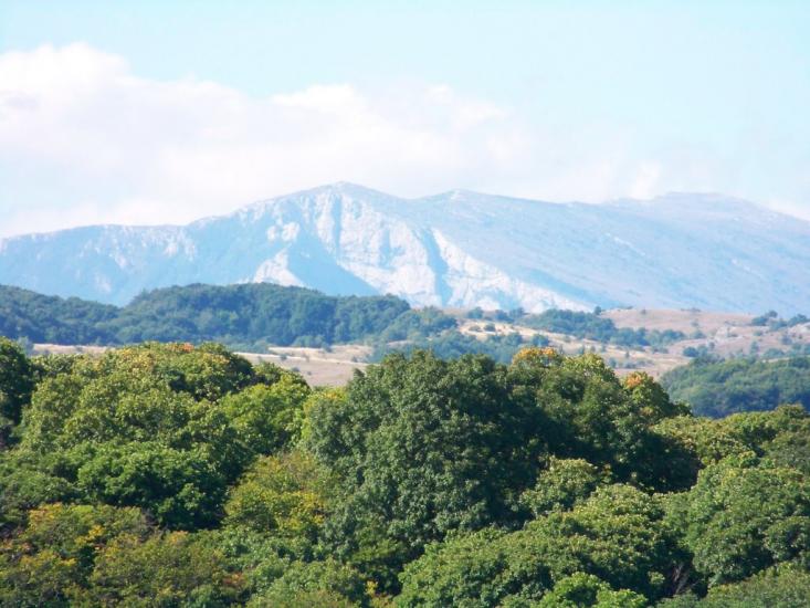 Овражки з panoramio.com - Овражки